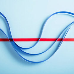 Employer Stock Options