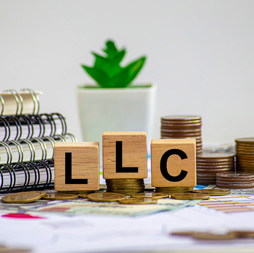 Why an LLC? Strategic Considerations for Entity Selection - 0.2 Nano CPE