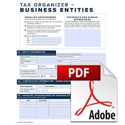 2025 Business Organizer Form-Fill PDF