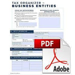 2023 Business Organizer Form-Fill PDF