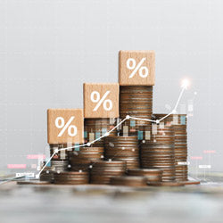 Tax Loss Harvesting
