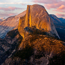 2025 California Differences - 5 Hours CPE