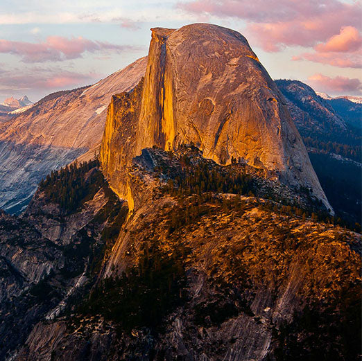 2025 California Differences - 5 Hours CPE