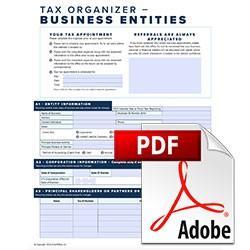2022 Business Organizer Form-Fill PDF